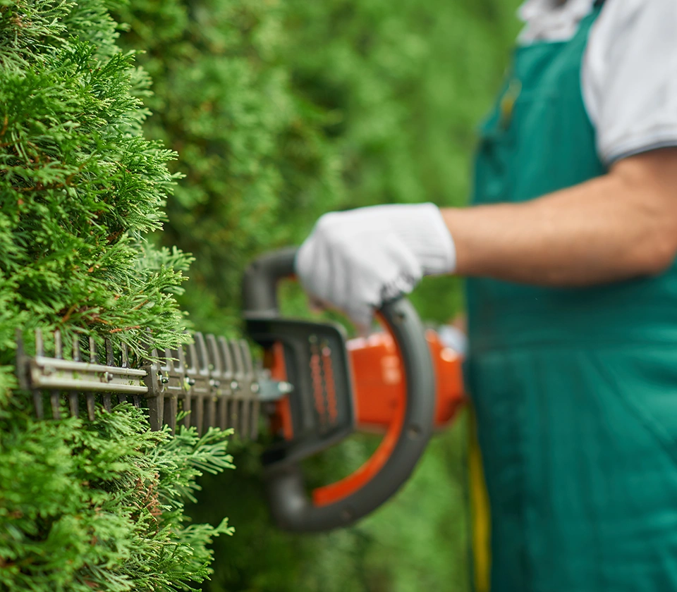 worker-cutting-and-resizing-trees