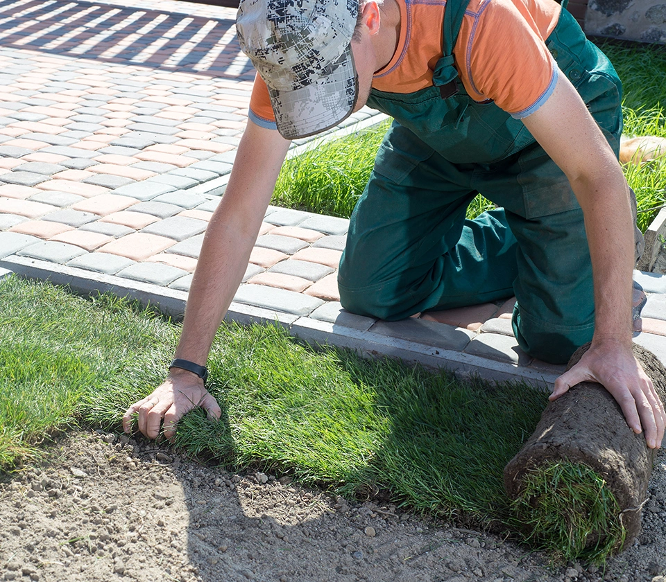 worker-laying-grass-carpet